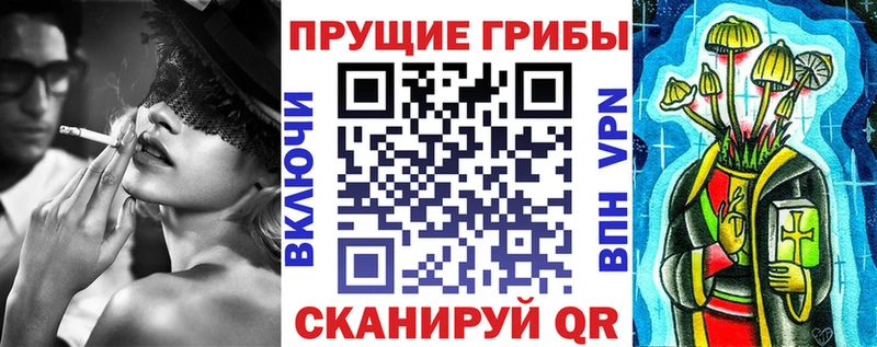 Галлюциногенные грибы Psilocybine cubensis  купить   Электрогорск 